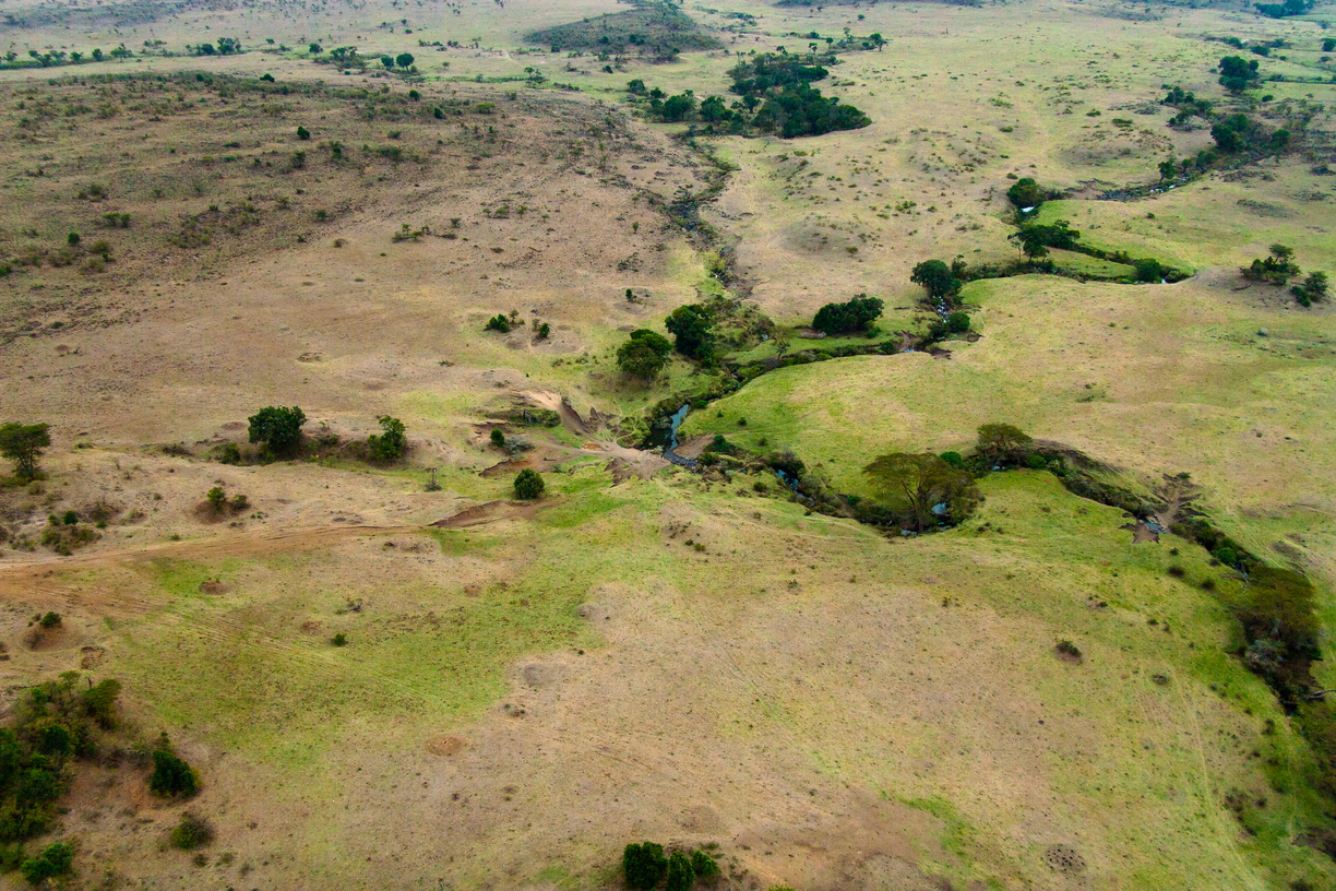 Narrow rivers twist around the undulating landscape of the Maasai Mara, as seen from a hot air balloon in the skies above Kenya.